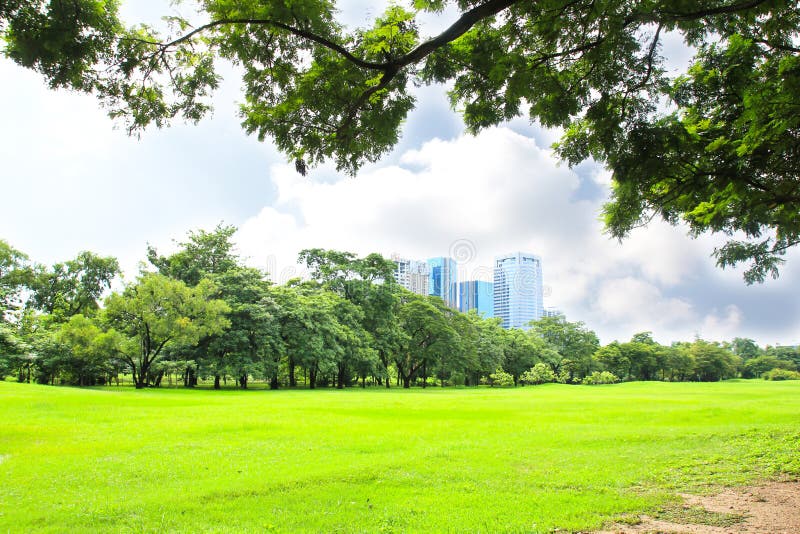 Công viên là những nơi tự nhiên tuyệt vời giúp cho thành phố ngày càng xanh hơn và tạo ra một không gian tương tác rất tốt cho chúng ta khi đi dạo hoặc thư giãn. Hãy nhìn vào hình ảnh về công viên xanh để có được một cái nhìn tổng thể về công cuộc bảo tồn công viên của các thành phố.