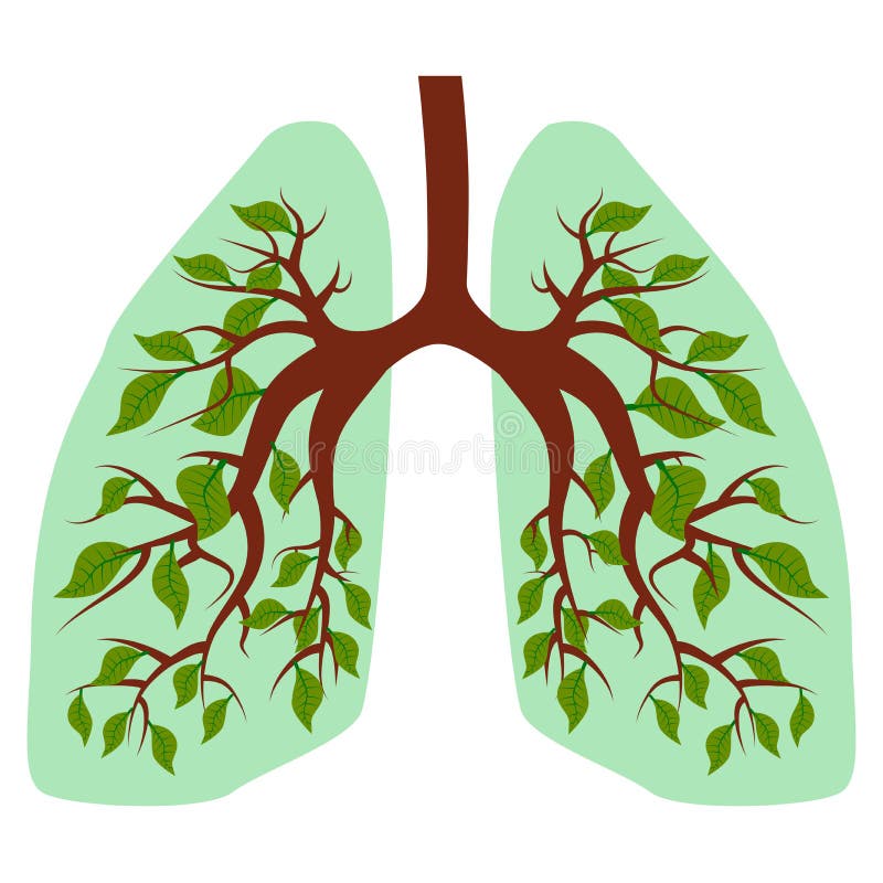 Lung Cleaners Info Graphic Stock Vector (Royalty Free) 1124163407
