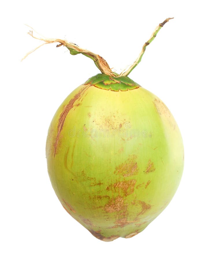 A green coconut stock photo. Image of sweet, healthy 12399056