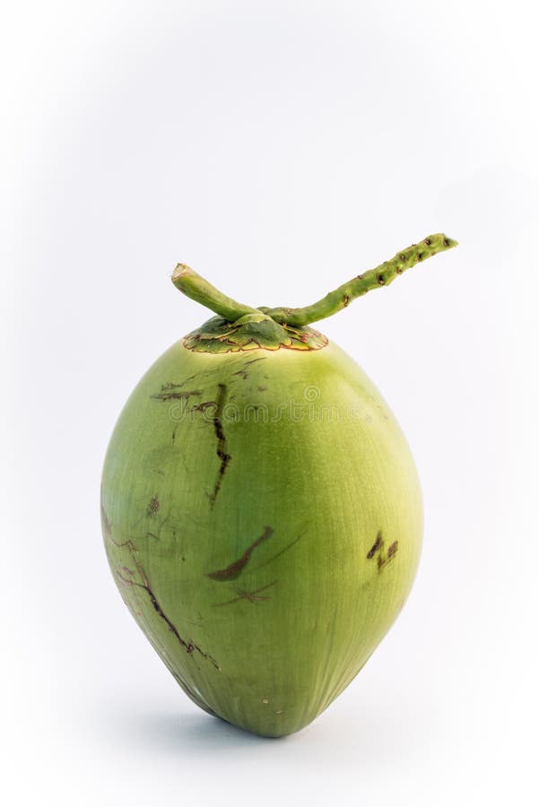 Green coconut Fruit stock photo. Image of nature, exotic - 65628218