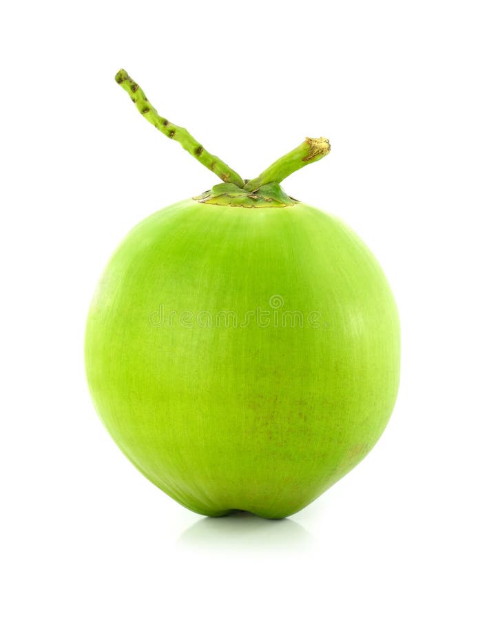 Green coconut Fruit stock photo. Image of healthy, hard 21978536