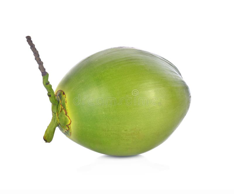 Green Coconut Fruit on White Background. Stock Image - Image of sweet ...