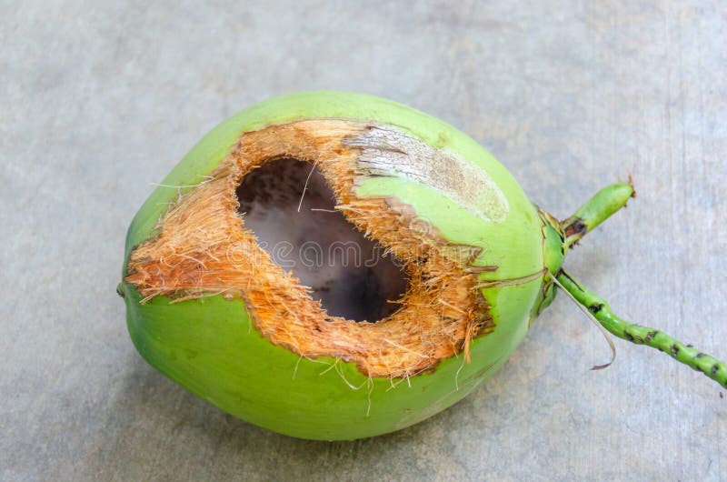 Green Coconut with Hole on Ground Stock Photo - Image of object, farm ...