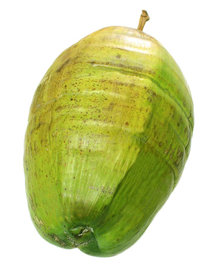 Green Coconut stock image. Image of object, freshness 32691075