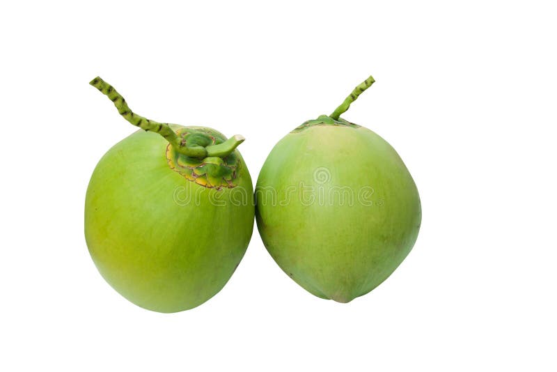 Green coconuts fruit isolated on white with clippi