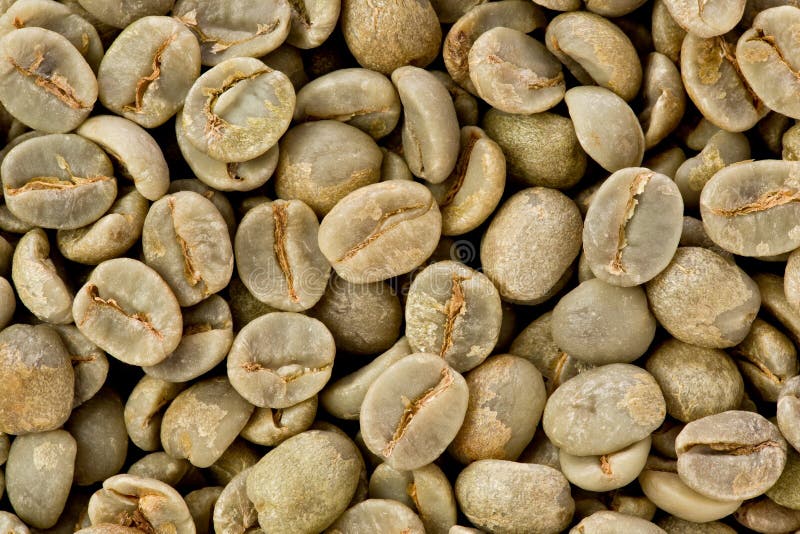 Green coffee beans stock image. Image of coffee, bolivia 1787427