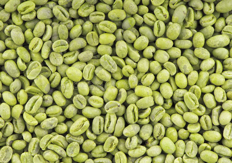 Green Coffee Beans Background. Medium Green Peaberry Coffee Beans. Stock Photo Image of drink