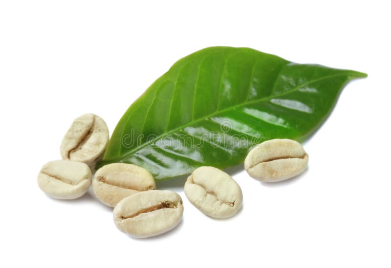 10,886 Green Coffee Beans Leaf Photos Free & RoyaltyFree Stock
