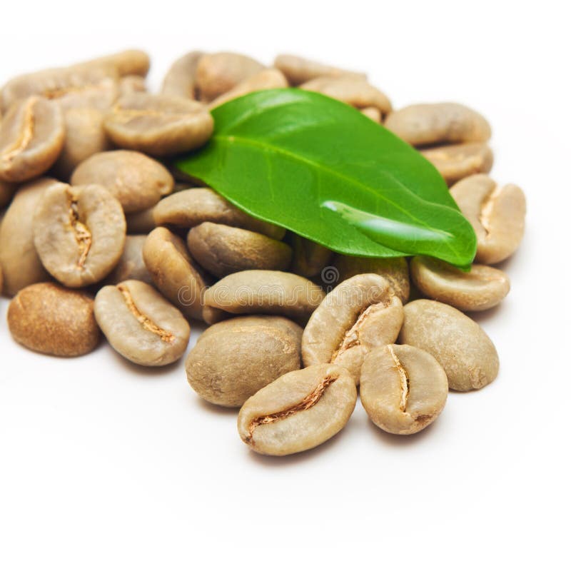 Green Coffee Beans with Leaf Stock Photo Image of isolated, roasted