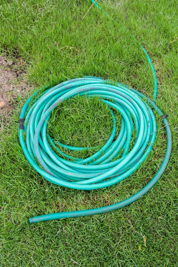 Coiled Rubber Garden Hose Isolated Stock Photo Image of coiled