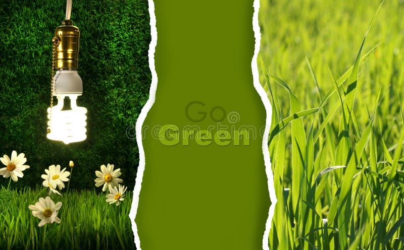 Green collection of eco-friendly photos