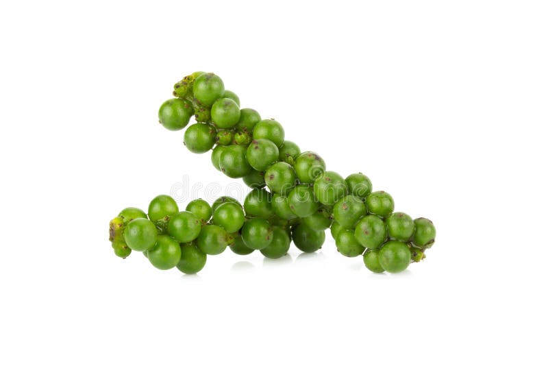 Green Color Black Pepper on White Background Stock Image Image of