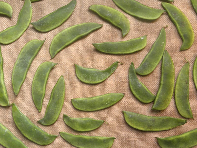 Green color Butter bean stock photo. Image of close 196643268