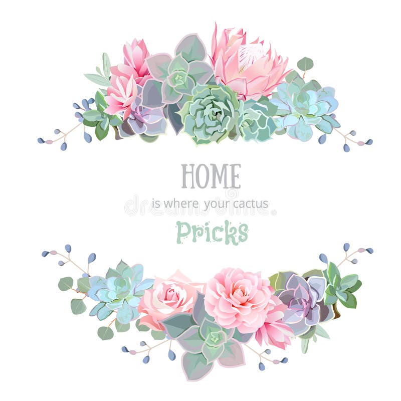 Green colorful succulents vector design round frame.