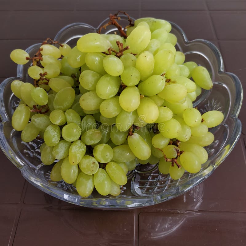 Green Coloured Grapes Kept in a Dish. Botanically Grapes are Berries