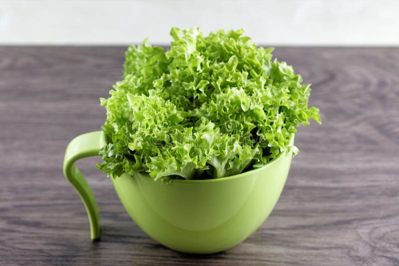 Green Red Coral Salads Stock Photos Free & RoyaltyFree Stock Photos