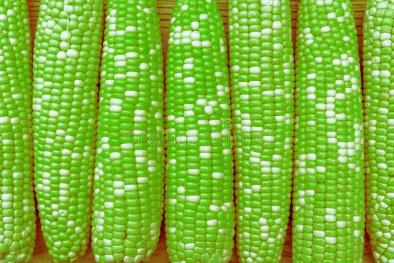Green Corn with GMO. Green Color Maize Concept Background Stock Image