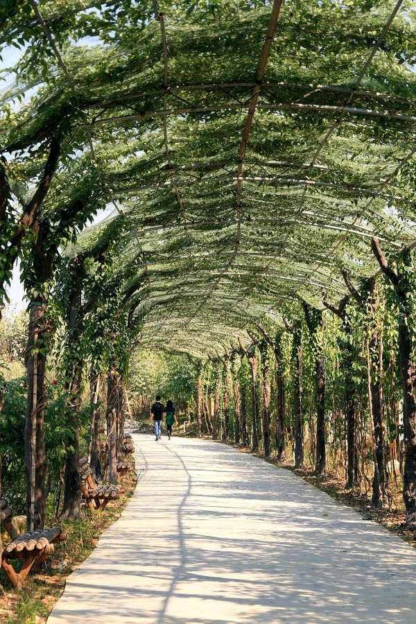 green corridor