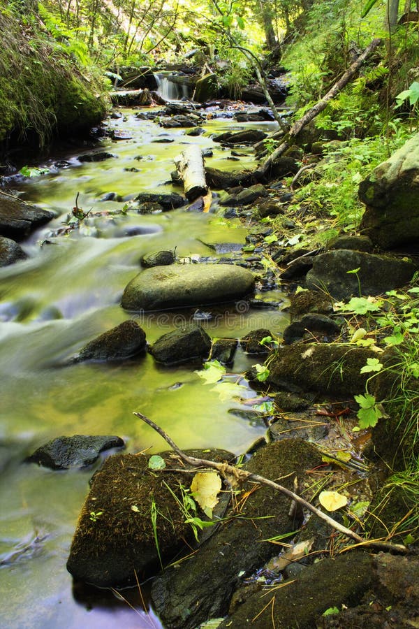 Green creek in spring