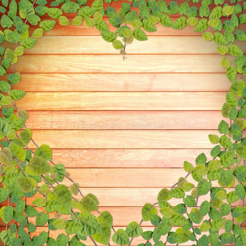 Green creeper plant shaped on wood plank royalty free stock images