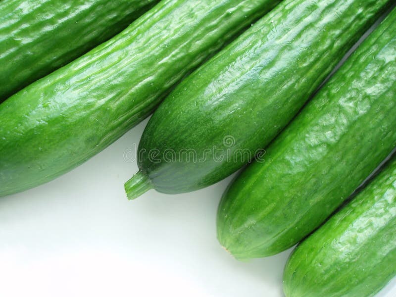 Green cucumber royalty free stock image