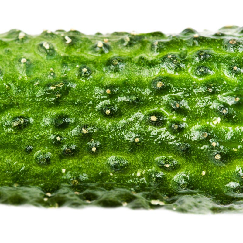 Cucumber Texture Closeup View Green Peel Stock Photo Image of agricultural, fruit 181838946