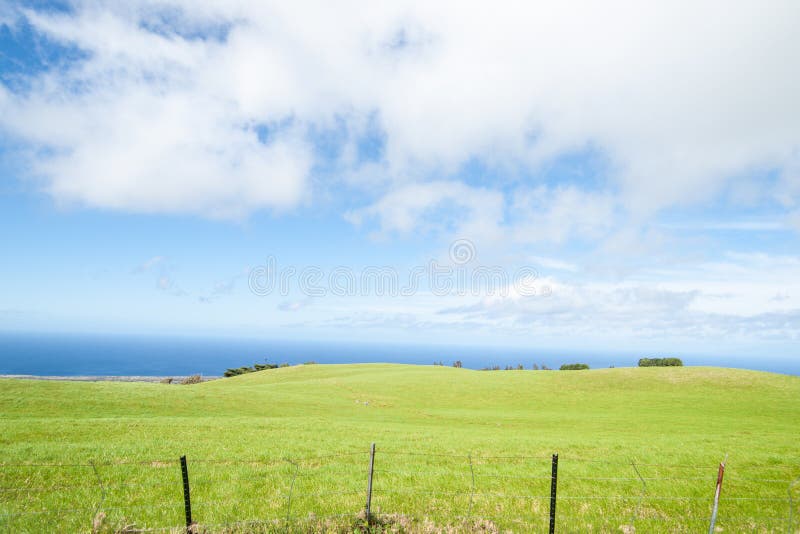 Green cultivated land meets the sea.