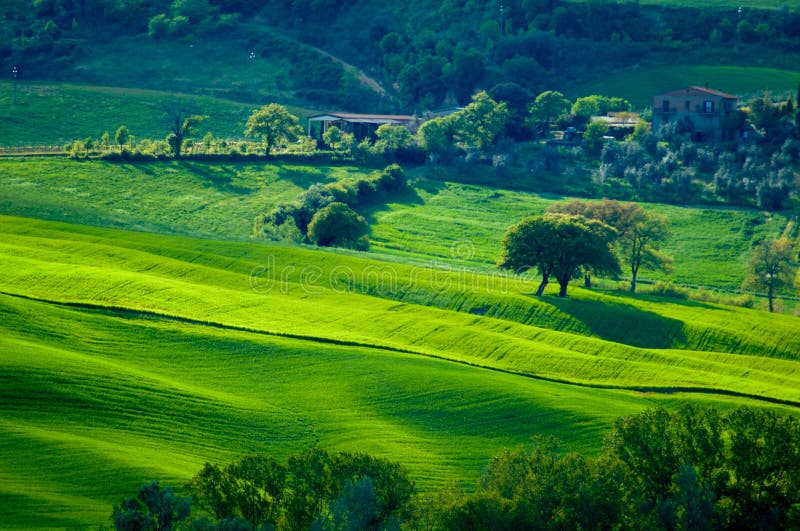 Green dappled hills