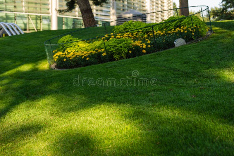 Green decorative garden. Neutral landscape with a green field. Landscape park. royalty free stock photography Green decorative garden. Neutral landscape with a green field. Landscape park. royalty free stock photography