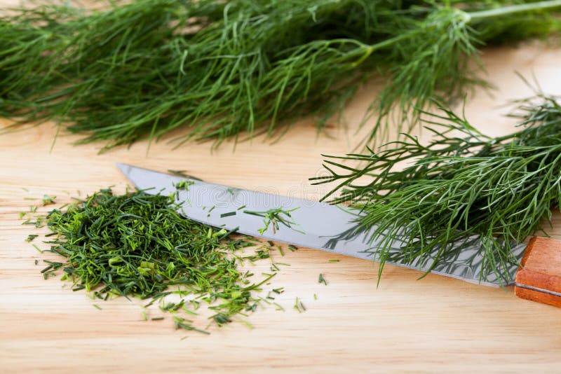 Green dill stock image. Image of cutting, health, cooking 35582999