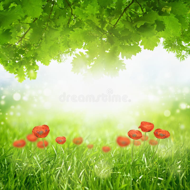 Green eco background