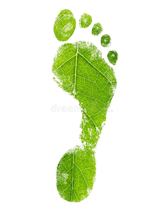 Green Eco Footprint. Leaf Design. Stock Image - Image of environment,  human: 183875875