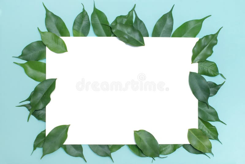 Green Eco-friendly Leaves, for Writing To Business People, Design Over a  Blue Background Stock Image - Image of paper, note: 170850647