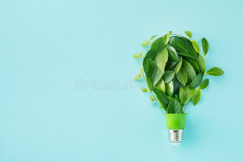 Green eco friendly lightbulb from fresh leaves top view. Energy saving, ecology and environment sustainable resources conservation royalty free stock photos Green eco friendly lightbulb from fresh leaves top view. Energy saving, ecology and environment sustainable resources conservation royalty free stock photos
