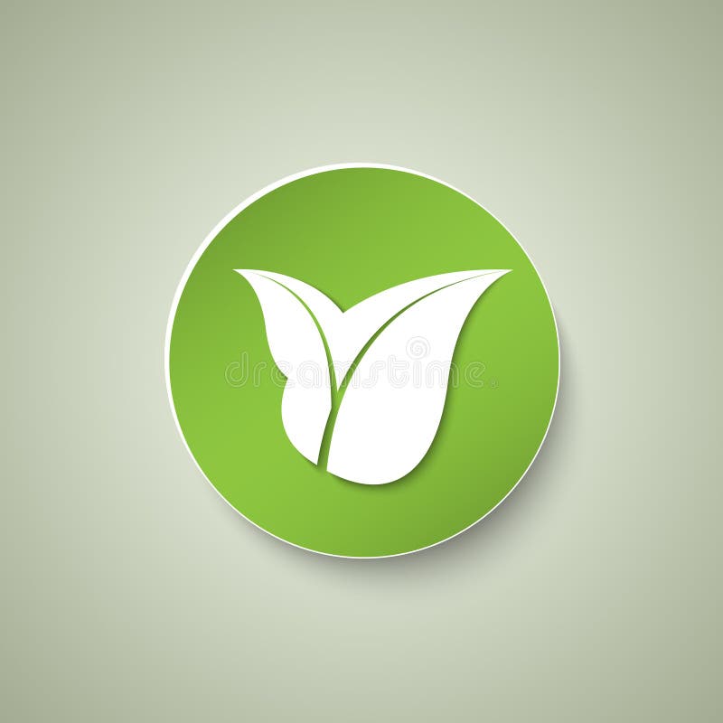 Green eco icon with leaves vector illustration