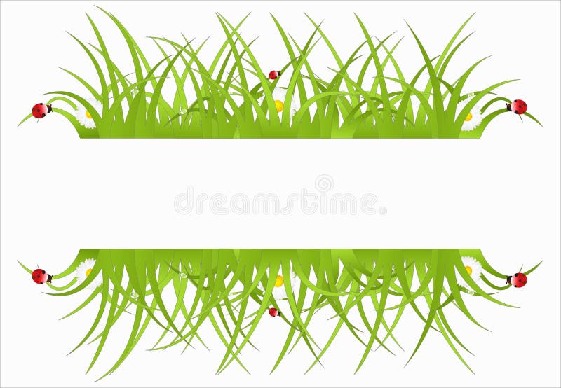 Green ecological banner with daisies