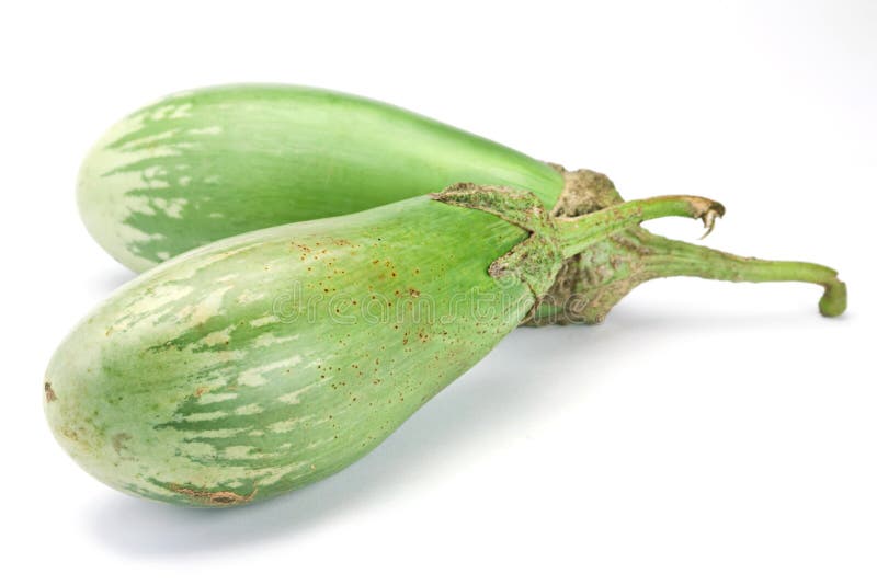 Green eggplant stock image. Image of white, vegetable 16335739