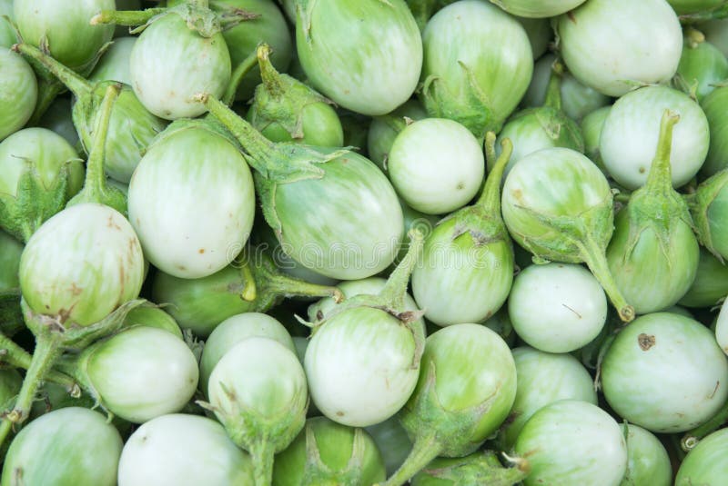 Green eggplant stock photo. Image of vegetable, organic 87869084