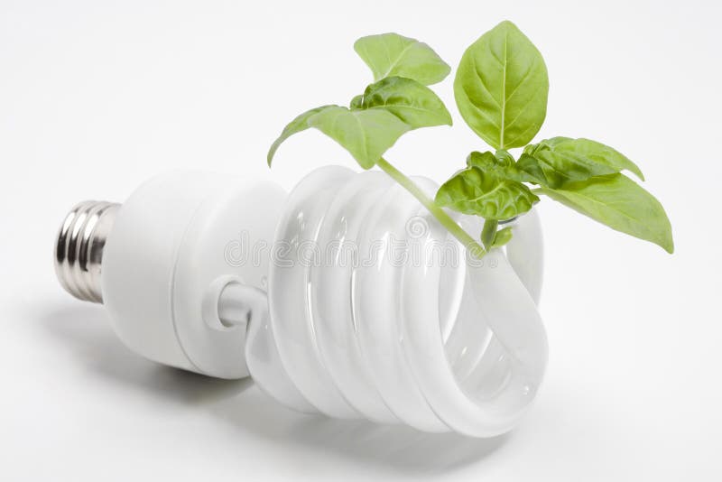 Green Energy Light Bulb