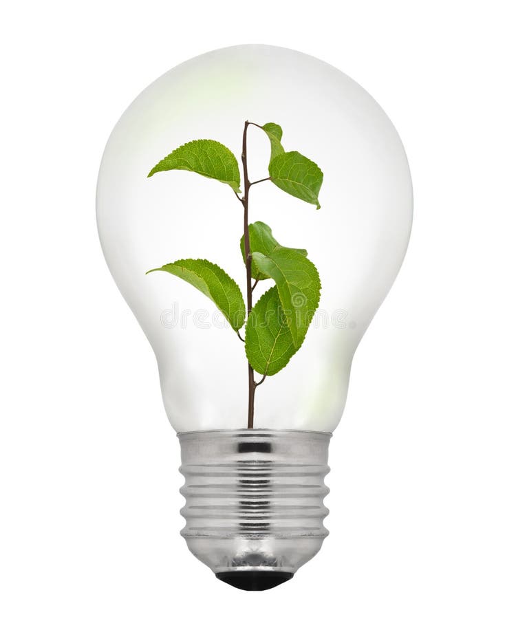 Green Energy Light Bulb