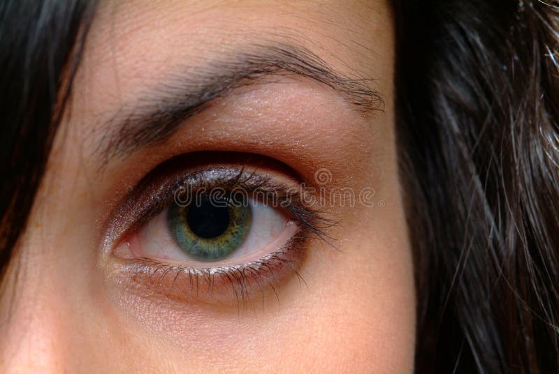 Green eye stock photo. Image of eyes, charisma, adult 1578640