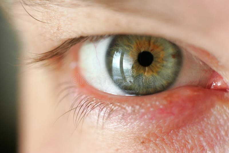 Green eye stock images
