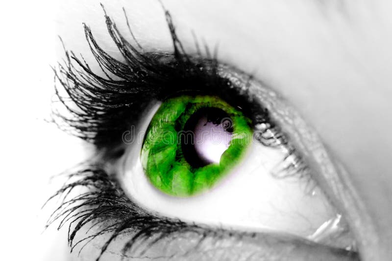 Green eye stock photo. Image of feminine, close, woman 8665900