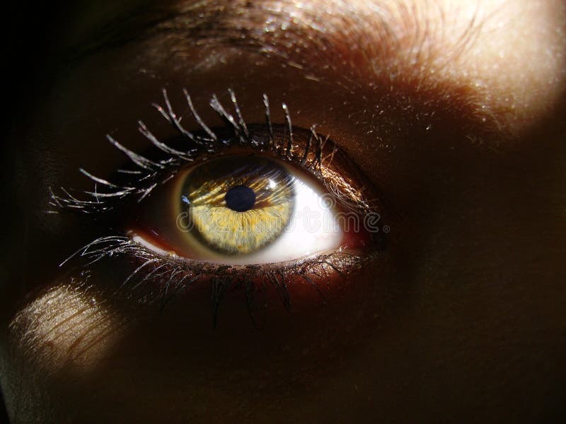 Green eye in shadow stock photo. Image of shadow, green - 160568