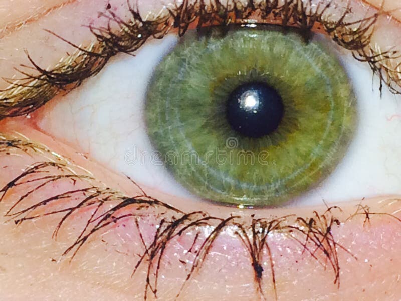Green eye up close stock image. Image of close, green 93192489