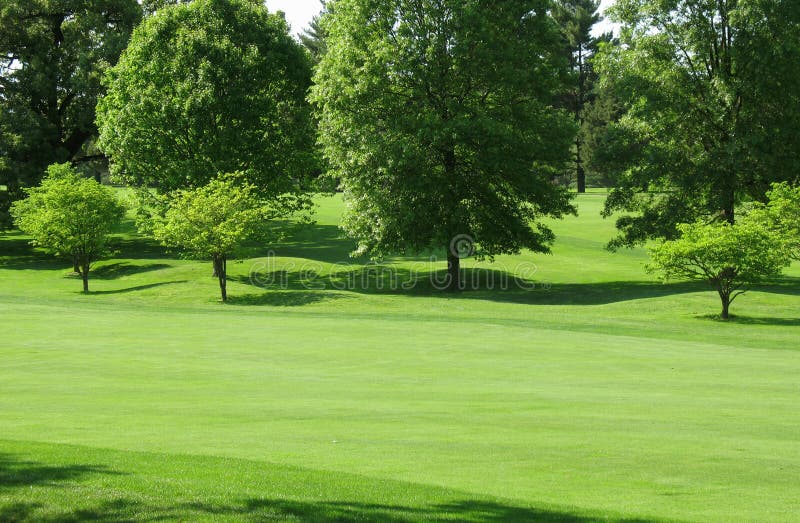 Green Fairway stock image. Image of golf, fairway, afternoon 2415309