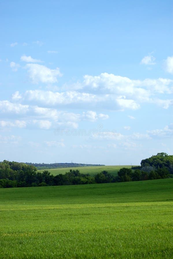 1,226,350 Green Farm Field Stock Photos - Free & Royalty-Free Stock Photos  from Dreamstime