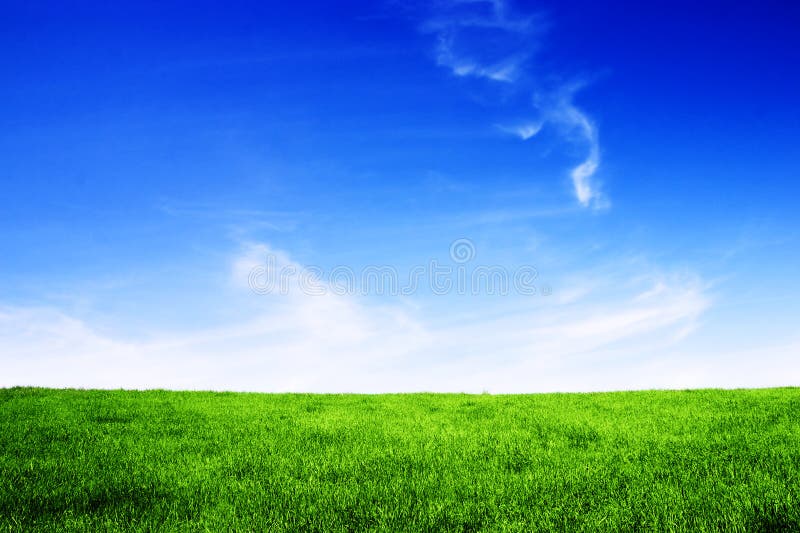 Bel campo verde con il blu del cielo.