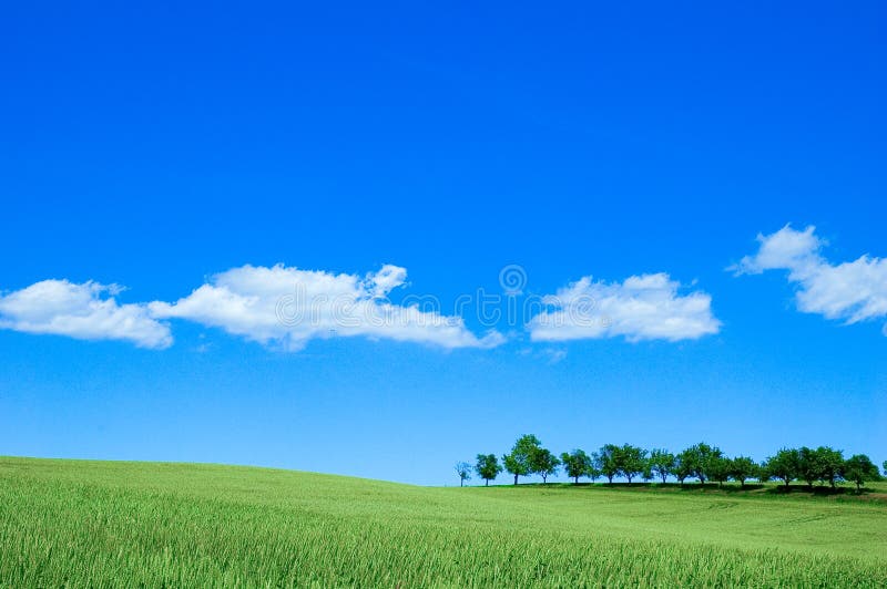 Green field 4 royalty free stock image Green field 4 royalty free stock image