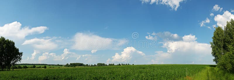 Green Field